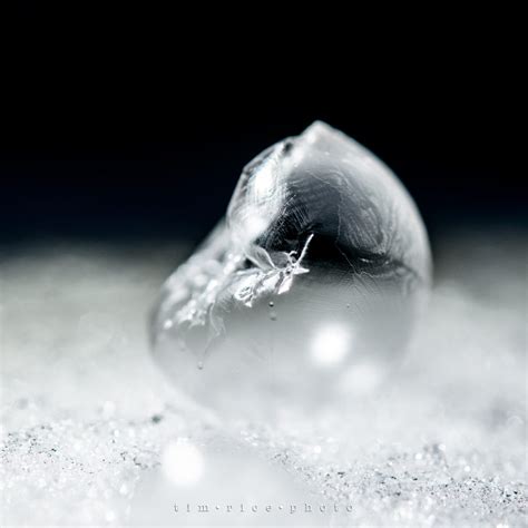 the dailypic 4140 yr12 123 Chill Art – tim rice photo