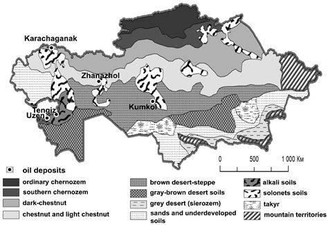 Recent Advances in Creating Biopreparations to Fight Oil Spills in Soil ...