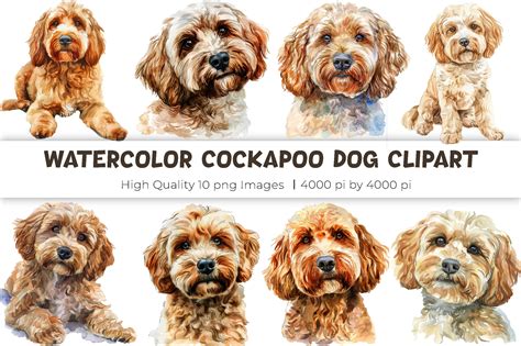 Image result for Cockapoo ClipArt