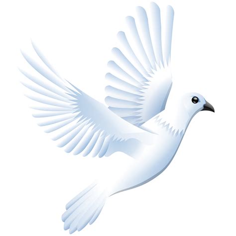 Dove PNG, Dove Transparent Background - FreeIconsPNG
