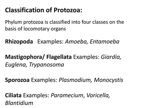 Microbiology - malaria | PPTX