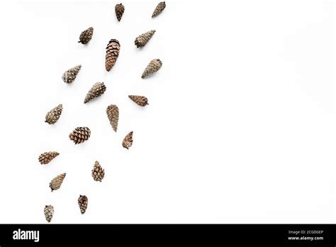 Image result for Cone Layout Flat Pattern