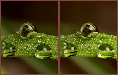 Stereogram Resimler (Şaşı Bak Şaşır) - Sayfa 4
