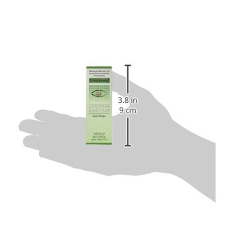 Buy SBL CINERARIA MARITIMA EUPHRASIA FOR BLURRED VISION % CONJUNTIVITIS ...