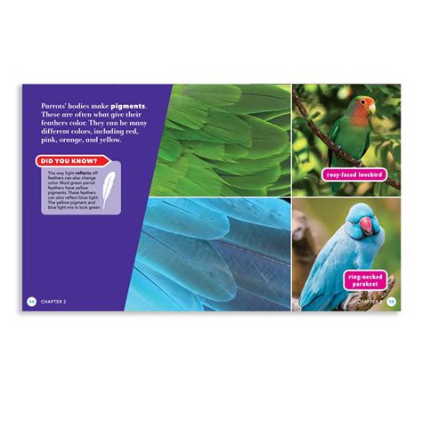 Science Behind the Colors