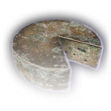 Rotten Waterdhavian Cheese Wheel - bg3.wiki
