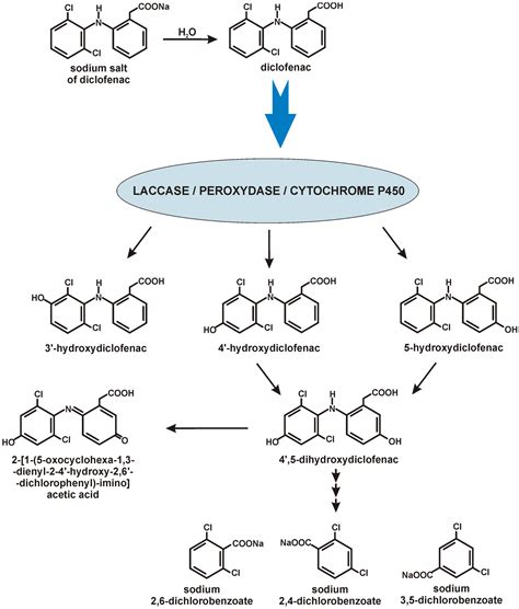 Diclofenac Biodegradation by Microorganisms and with Immobilised ...