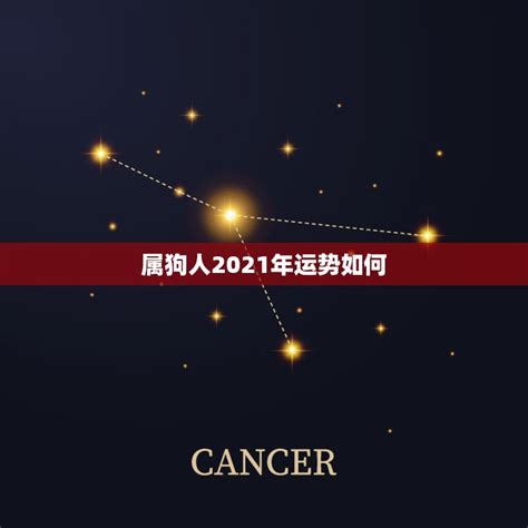 属狗人2021年运势如何，58年属狗2021年运势及运程