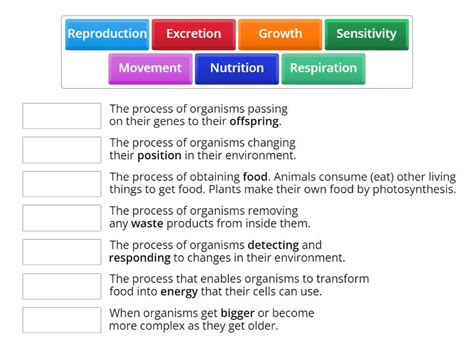 Life Process Explained 的图像结果