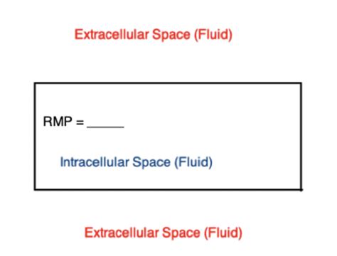Diffusion Concentration Gradient Study Material Flashcards | Quizlet