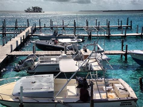 Bimini Tourism: All You Need to Know Before You Go (2024)