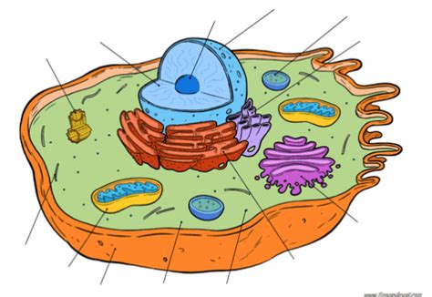 Biology Learning 的图像结果
