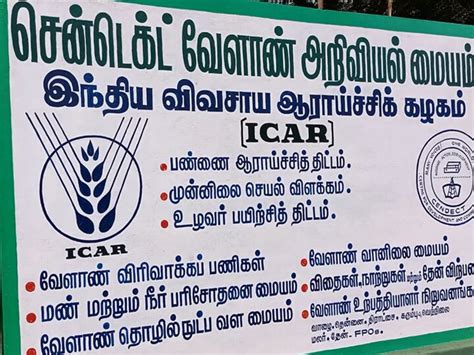 Theni Introduces New Grapes Ideal for making ice cream, confectionery ...