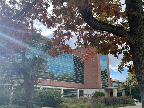 KIN Courses - Department of Kinesiology - MSU College of Education ...