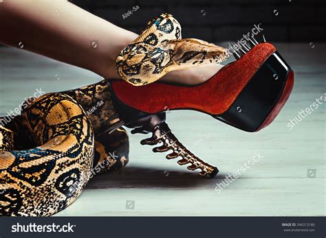26,322 Woman With Snakes Images, Stock Photos & Vectors | Shutterstock