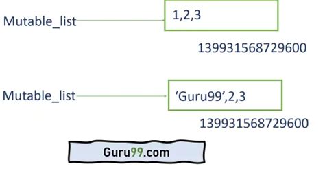 Mutable and Immutable Python Programming 的图像结果