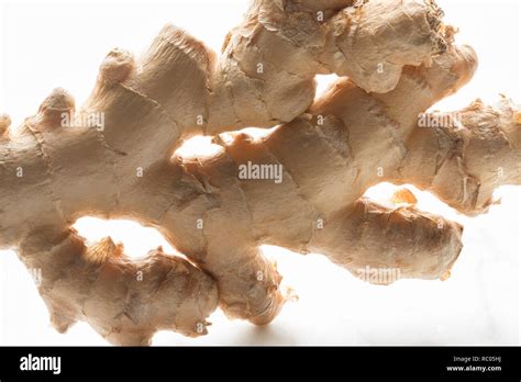 Image result for Using Fresh Ginger Root