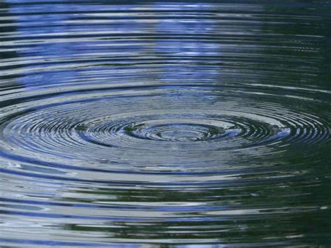 Image result for Trauma Explained