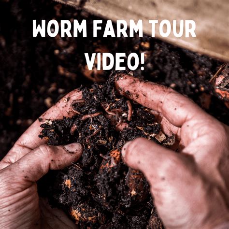 Commercial Worm Farm Design 的图像结果