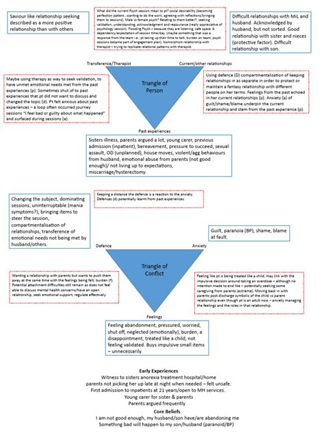 Image result for Psychodynamic Case Formulation Example