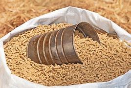 Cattle Feed Pallet Manufacturer, Supplier from Ratlam