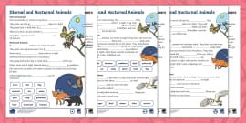 Diurnal Animals | Facts for Kids - Twinkl
