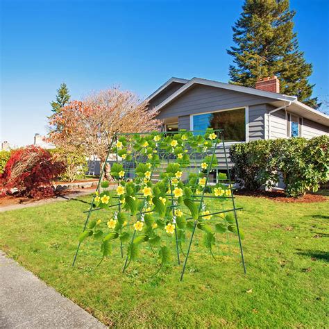 Buy 48 x 48Inch Foldable Cucumber Trellis Set, A-Frame Cucumber Trellis ...