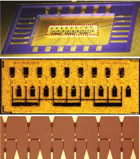 Image result for Linear Detector Array