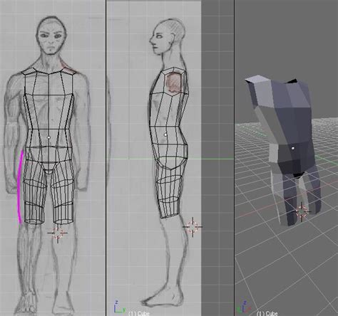Image result for Blender Human Model Tutorial
