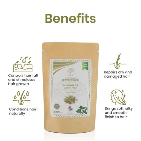 ORGANIC BHRINGRAJ POWDER - 100 gm – Wildorganic ind