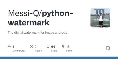 Image result for Python Application without Watermark