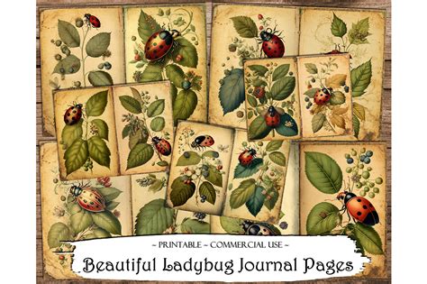 Beautiful Ladybug Double Journal Pages Graphic by Magical Craftery ...