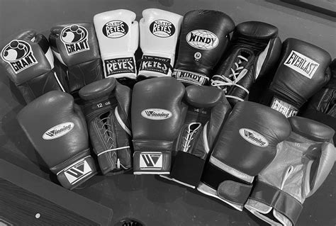Types of Boxing 的图像结果