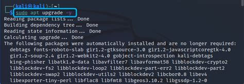 Image result for Kali Linux Update Command