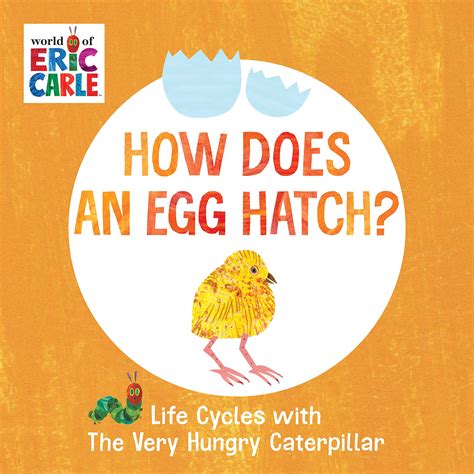 Buy How Does an Egg Hatch?: Life Cycles with The Very Hungry ...