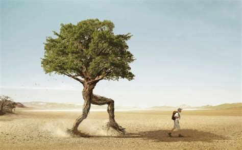 Image result for Tree Sentinel Meme