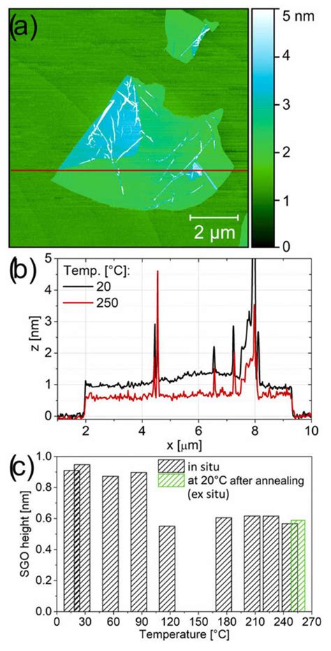 Tribological Aspects of Graphene and Its Derivatives