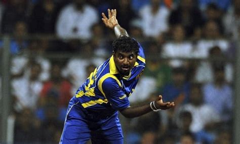 Cricket World Cup History: 5 players with most wickets in the tournament