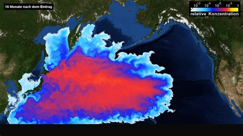 核污染水排海已一周,日本福岛海域开始拖网捕鱼-新闻速递-留园金网