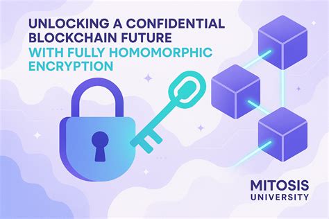 Rezultat imagine pentru Homomorphic Encryption Protocol