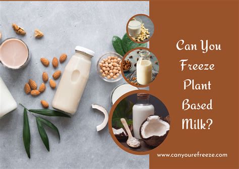 Can You Freeze Plant Based Milk? Things You Should Keep In Mind Before ...