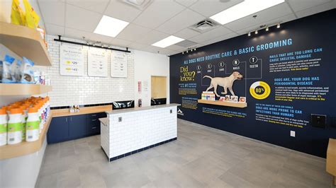 Our Pet Store Design | Scenthound Dog Franchise — Dog Washing ...