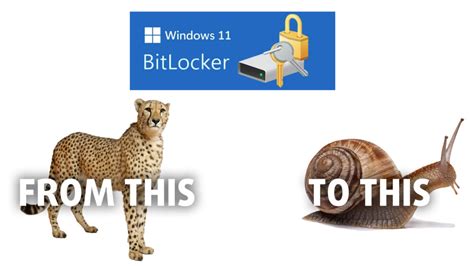 BitLocker Win 11 的图像结果