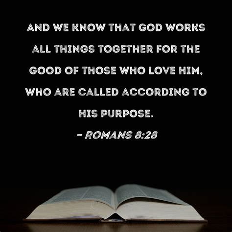 Romans 8 Kjv