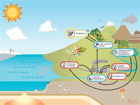 Image result for Modifying the Environment