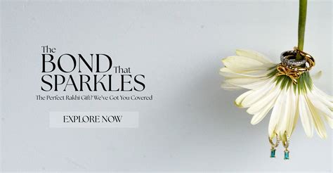 Aquastreet – aquastreet.in