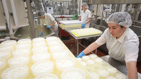 Cal Poly SLO Creamery: How students make cheese, where to buy | San ...