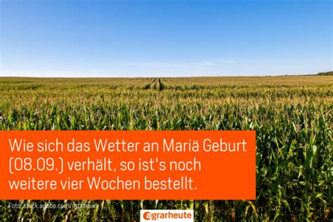 September warm - Oktober kalt. Bauernregeln im September | agrarheute.com
