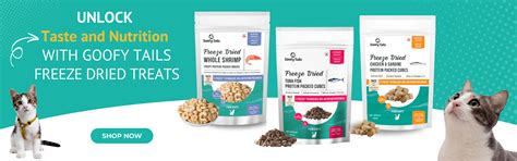 Honest and Holistic Pet Nutrition| Dog and Cat Products | Goofy Tails ...