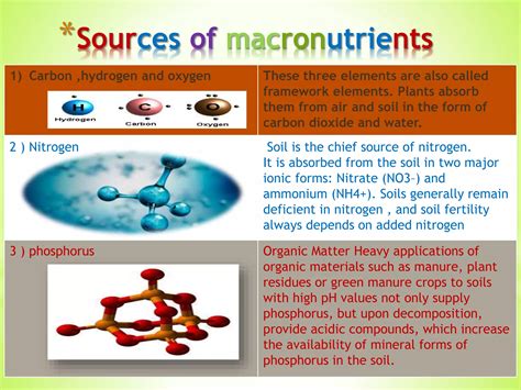 Role of macronutrients in plants | PPTX
